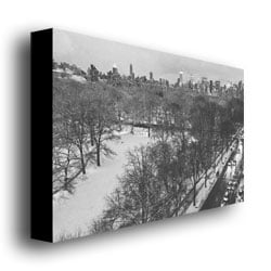 Ariane Moshayedi Snowy Park III Canvas Wall Art 35 x 47 Image 3