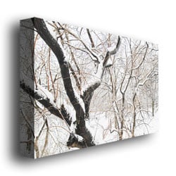Ariane Moshayedi Snowy Trees Canvas Wall Art 35 x 47 Image 3