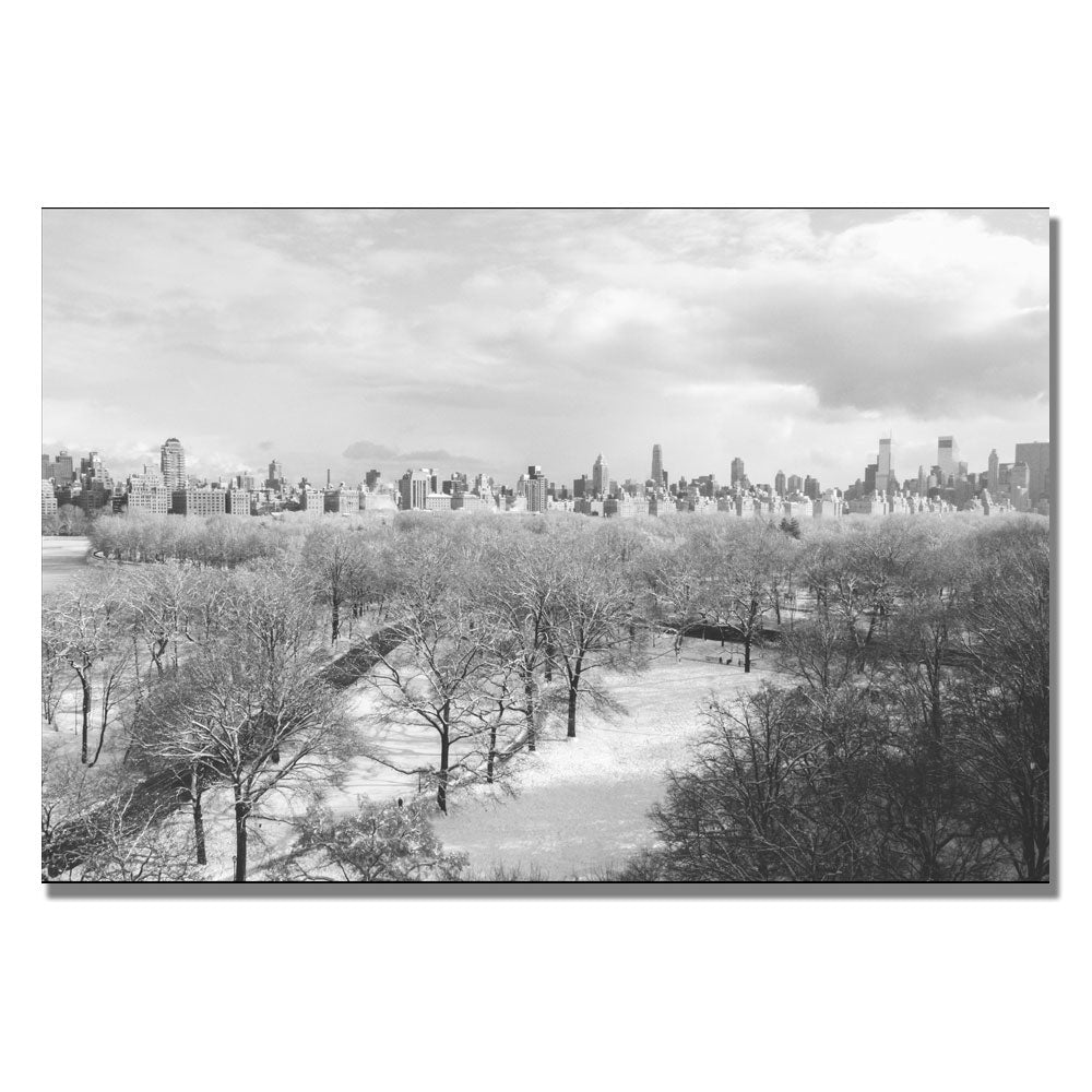 Ariane Moshayedi Snowy Park IV Canvas Wall Art 35 x 47 Image 1