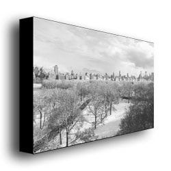 Ariane Moshayedi Snowy Park IV Canvas Wall Art 35 x 47 Image 3