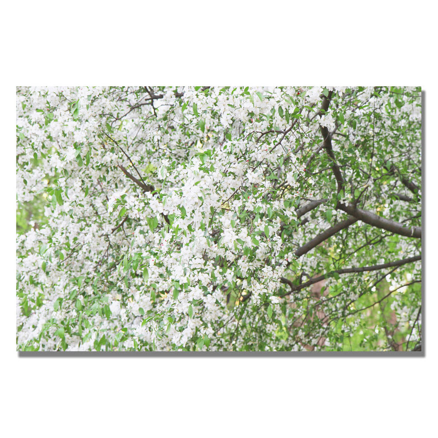 Ariane Moshayedi Flowers in the Trees Canvas Wall Art 35 x 47 Image 1