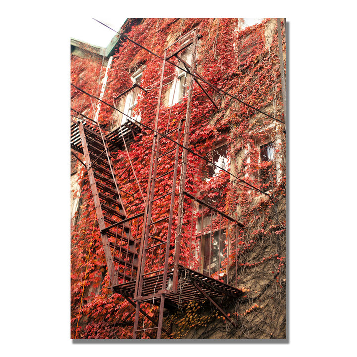 Ariane Moshayedi Fire Escape Canvas Wall Art 35 x 47 Image 1