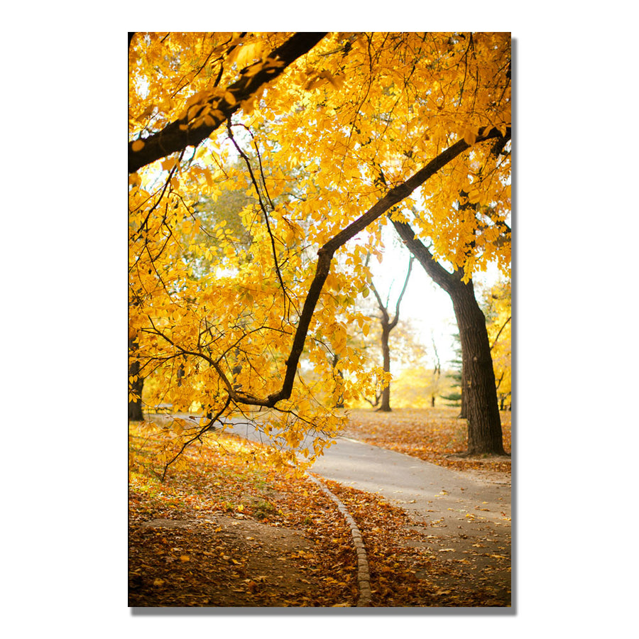 Ariane Moshayedi Walk Through the Park Canvas Wall Art 35 x 47 Image 1