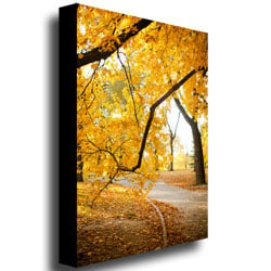 Ariane Moshayedi Walk Through the Park Canvas Wall Art 35 x 47 Image 3