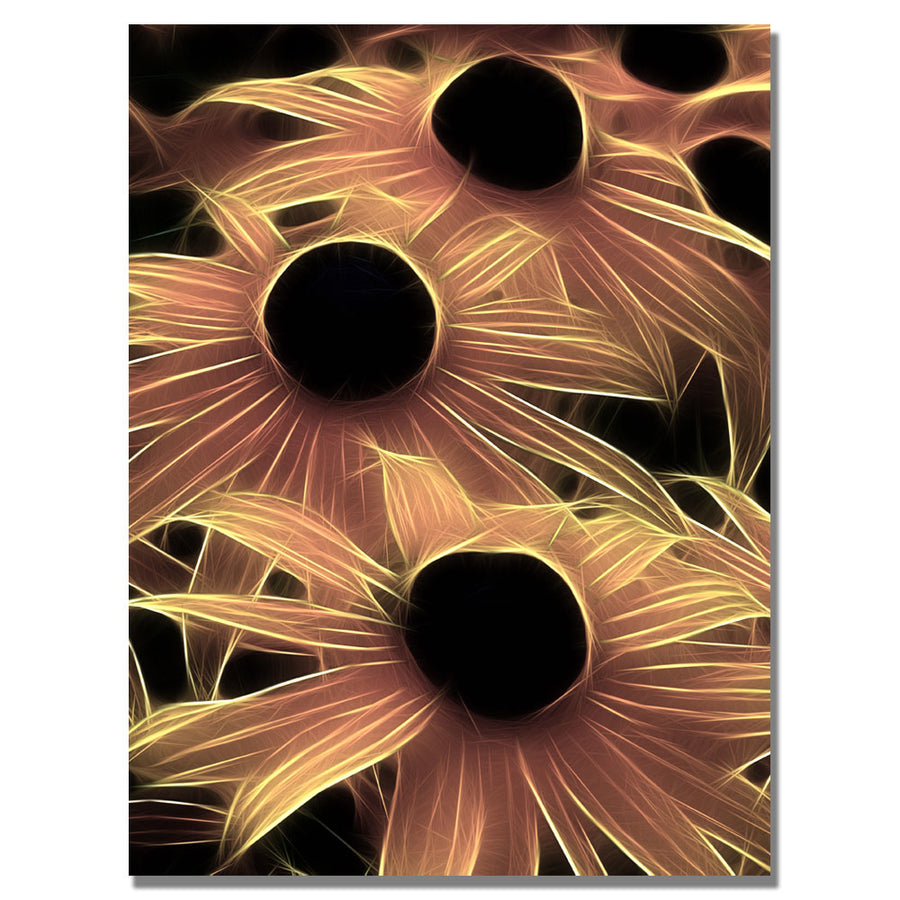 Kathie McCurdy Black Eyed Susans Abstract Canvas Wall Art 35 x 47 Image 1