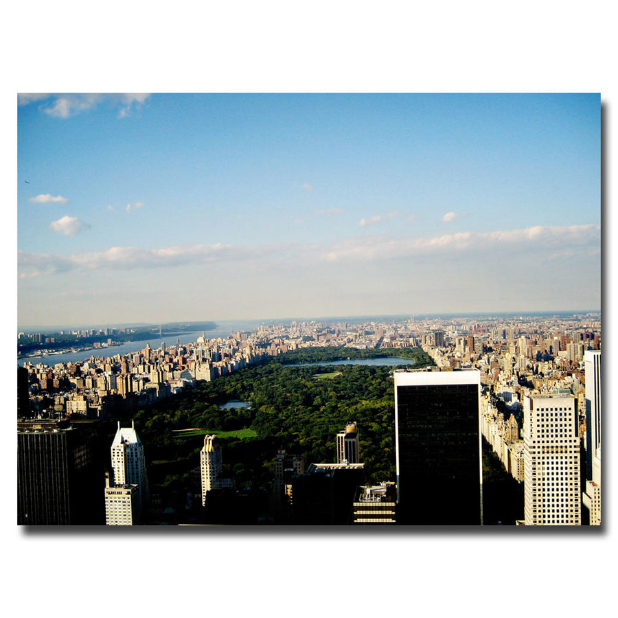 Ariane Moshayedi NYC Skies Canvas Wall Art 35 x 47 Image 1