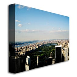Ariane Moshayedi NYC Skies Canvas Wall Art 35 x 47 Image 3