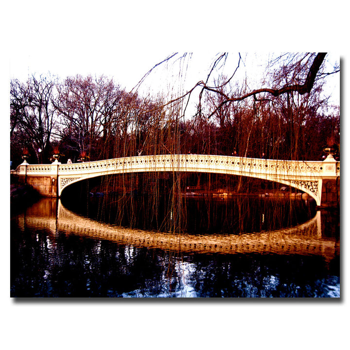 Ariane Moshayedi The Bridge Canvas Wall Art 35 x 47 Image 1