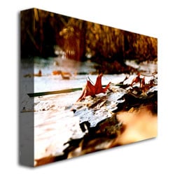 Ariane Moshayedi Washed Up Canvas Wall Art 35 x 47 Image 3