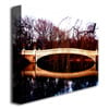 Ariane Moshayedi The Bridge Canvas Wall Art 35 x 47 Image 2