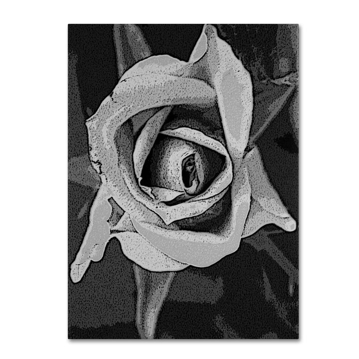 Patty Tuggle Black and White Rose Canvas Wall Art 35 x 47 Image 1