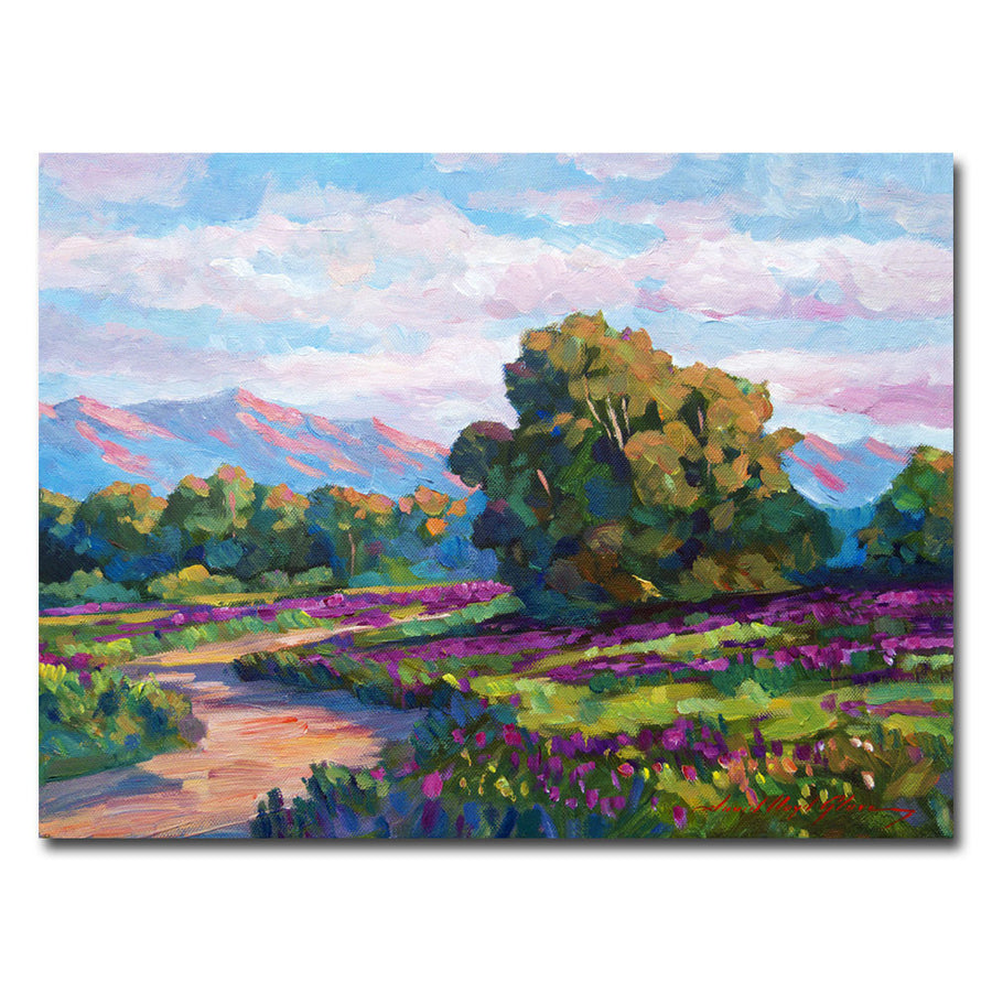 David Lloyd Glover California Hills Canvas Wall Art 35 x 47 Inches Image 1