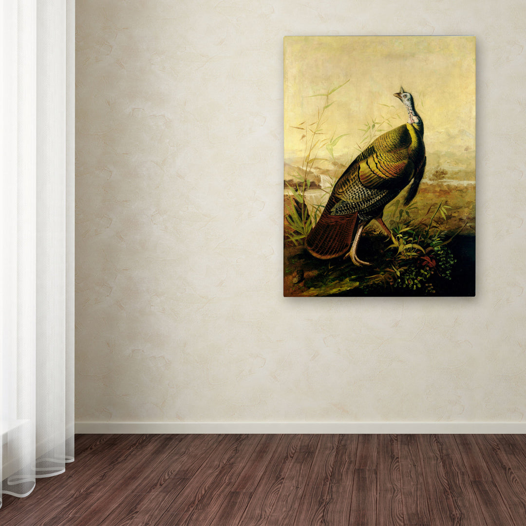 John James Audubon American Wild Turkey Cock Canvas Wall Art 35 x 47 Inches Image 3