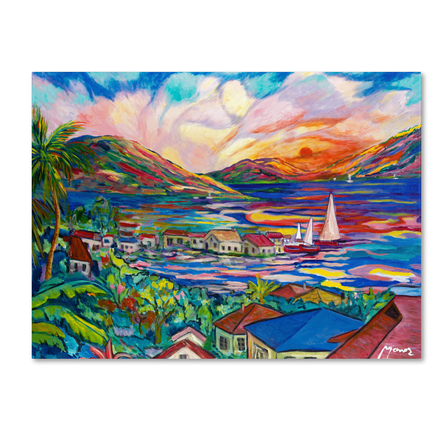 Manor Shadian Sunset Canvas Wall Art 35 x 47 Inches Image 1
