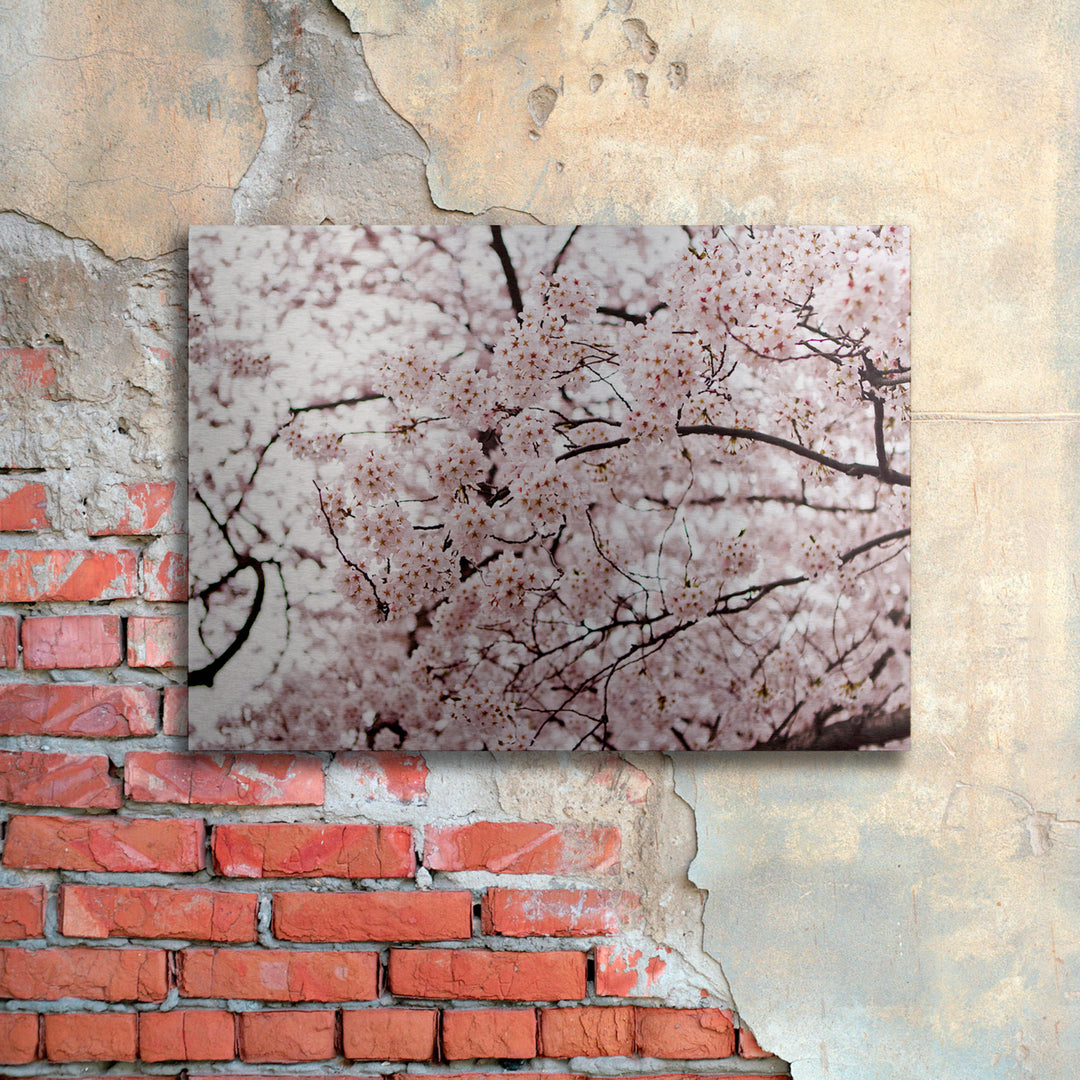 Ariane Moshayedi Cherry Blossoms Floating Brushed Aluminum Art 16 x 22 Image 3