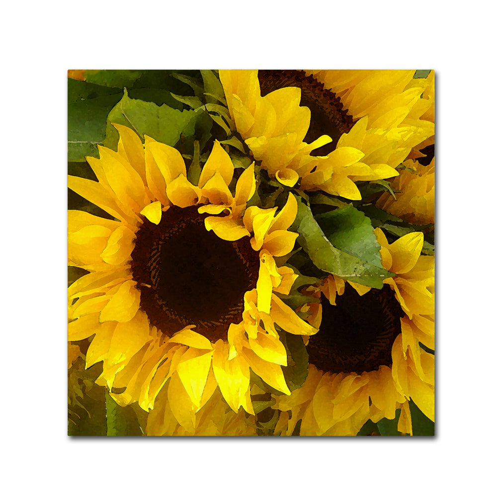 Amy Vangsgard Sunflowers Huge Canvas Art 35 x 35 Image 2