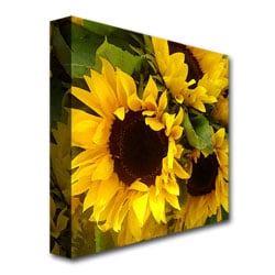 Amy Vangsgard Sunflowers Huge Canvas Art 35 x 35 Image 4