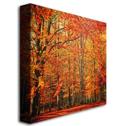 Philippe Sainte-Laudy Red November Huge Canvas Art 35 x 35 Image 4
