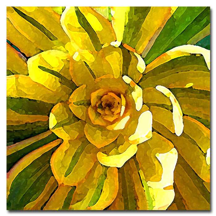 Amy Vangsgard Succulent Square VII Huge Canvas Art 35 x 35 Image 1