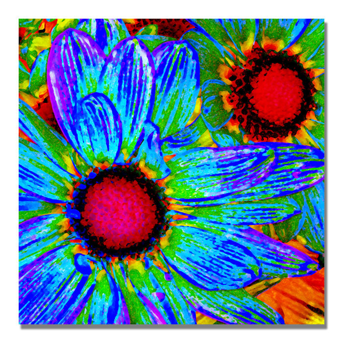 Amy Vangsgard Pop Daisies II Canvas Image 1