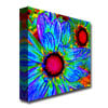 Amy Vangsgard Pop Daisies II Canvas Image 3