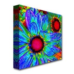 Amy Vangsgard Pop Daisies II Canvas Image 4