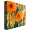 Sheila Golden Orange Wild Flowes Huge Canvas Art 35 x 35 Image 3