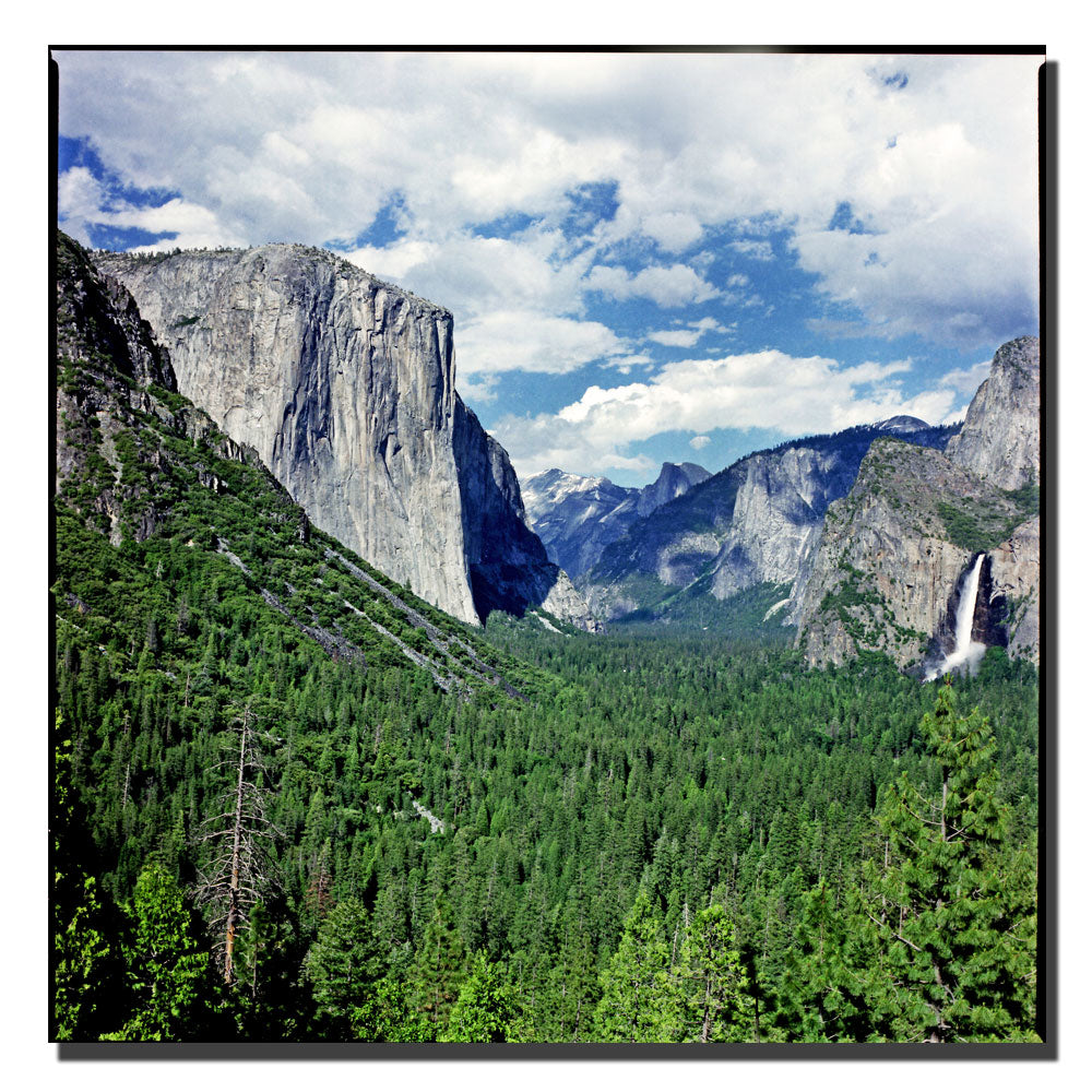 Preston Yosemite III Huge Canvas Art 35 x 35 Image 1