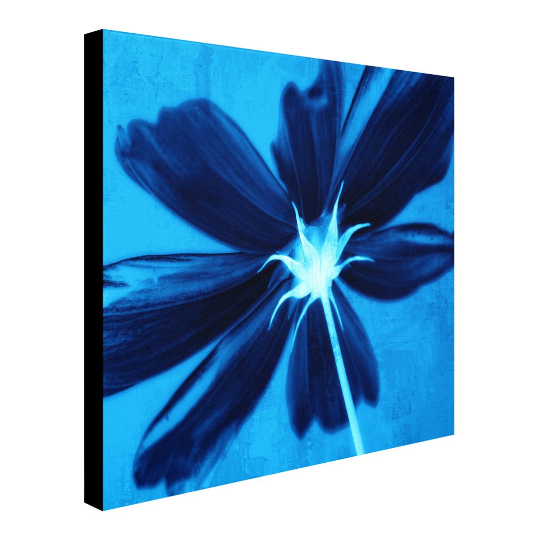 Philippe Sainte-Laudy Corolla Blue Huge Canvas Art 35 x 35 Image 3