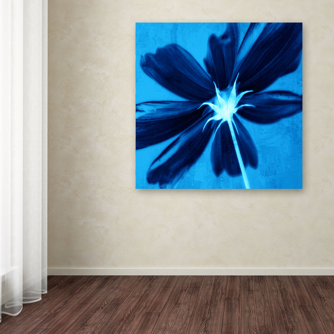 Philippe Sainte-Laudy Corolla Blue Huge Canvas Art 35 x 35 Image 4