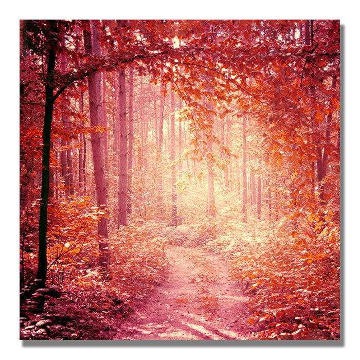 Beata Czyzowska Young Enchanted Forest Huge Canvas Art 35 x 35 Image 1