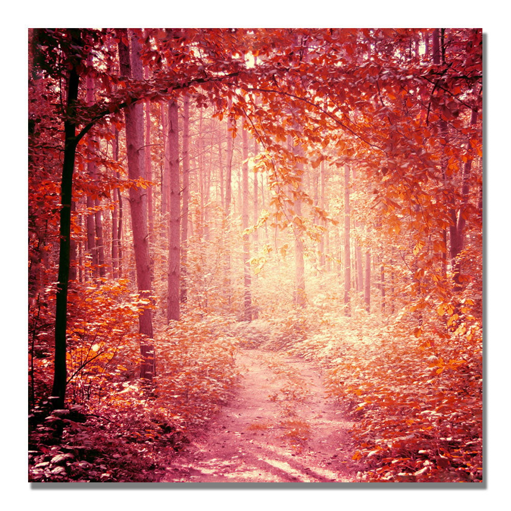 Beata Czyzowska Young Enchanted Forest Huge Canvas Art 35 x 35 Image 2