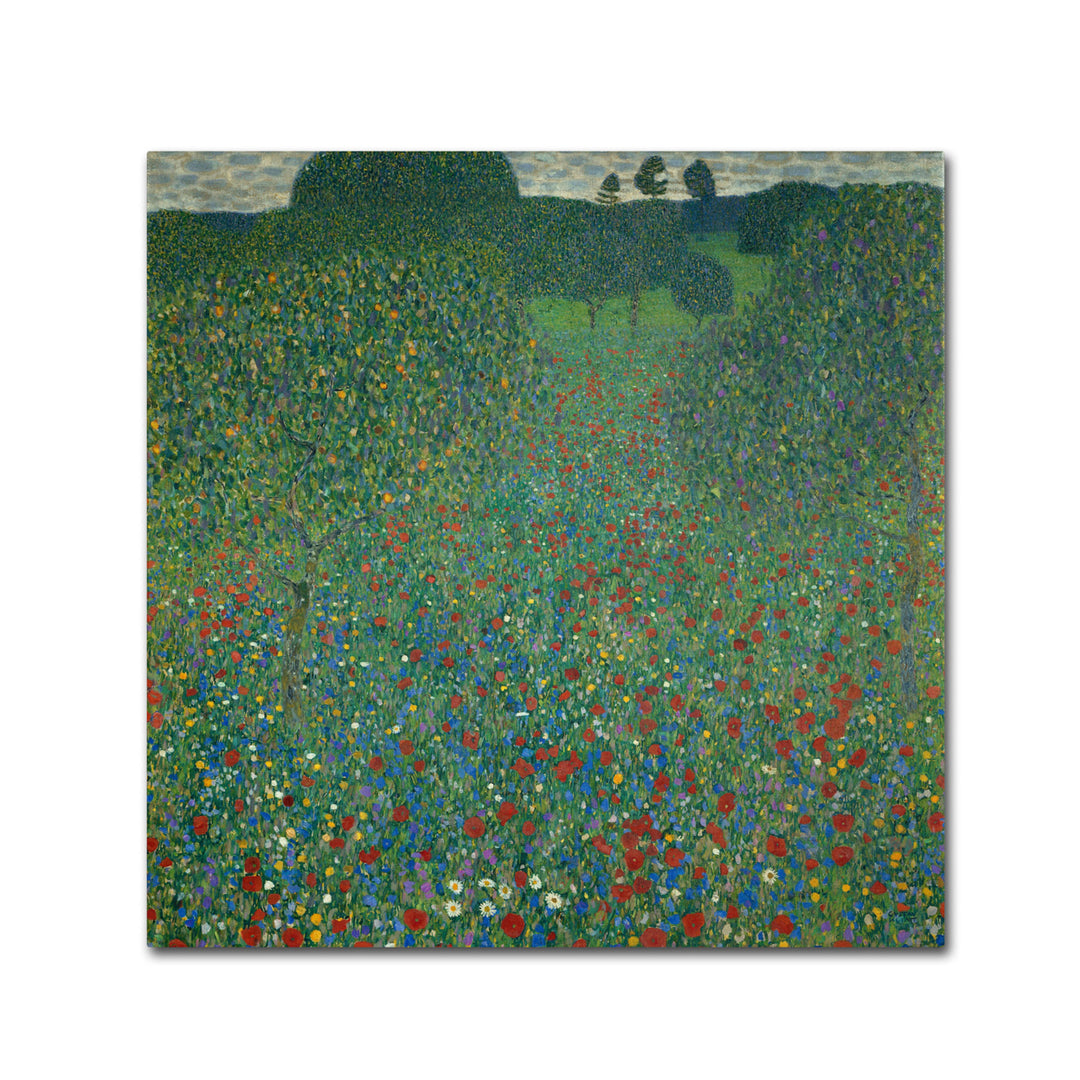 Gustav Klimt Field of Poppies 1907 Huge Canvas Art 35 x 35 Image 2