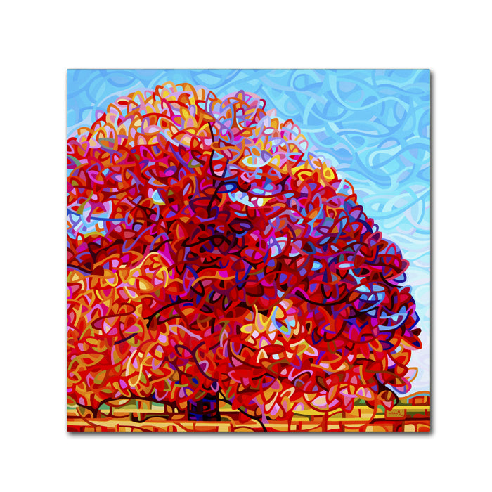 Mandy Budan Buddha Tree Huge Canvas Art 35 x 35 Image 1