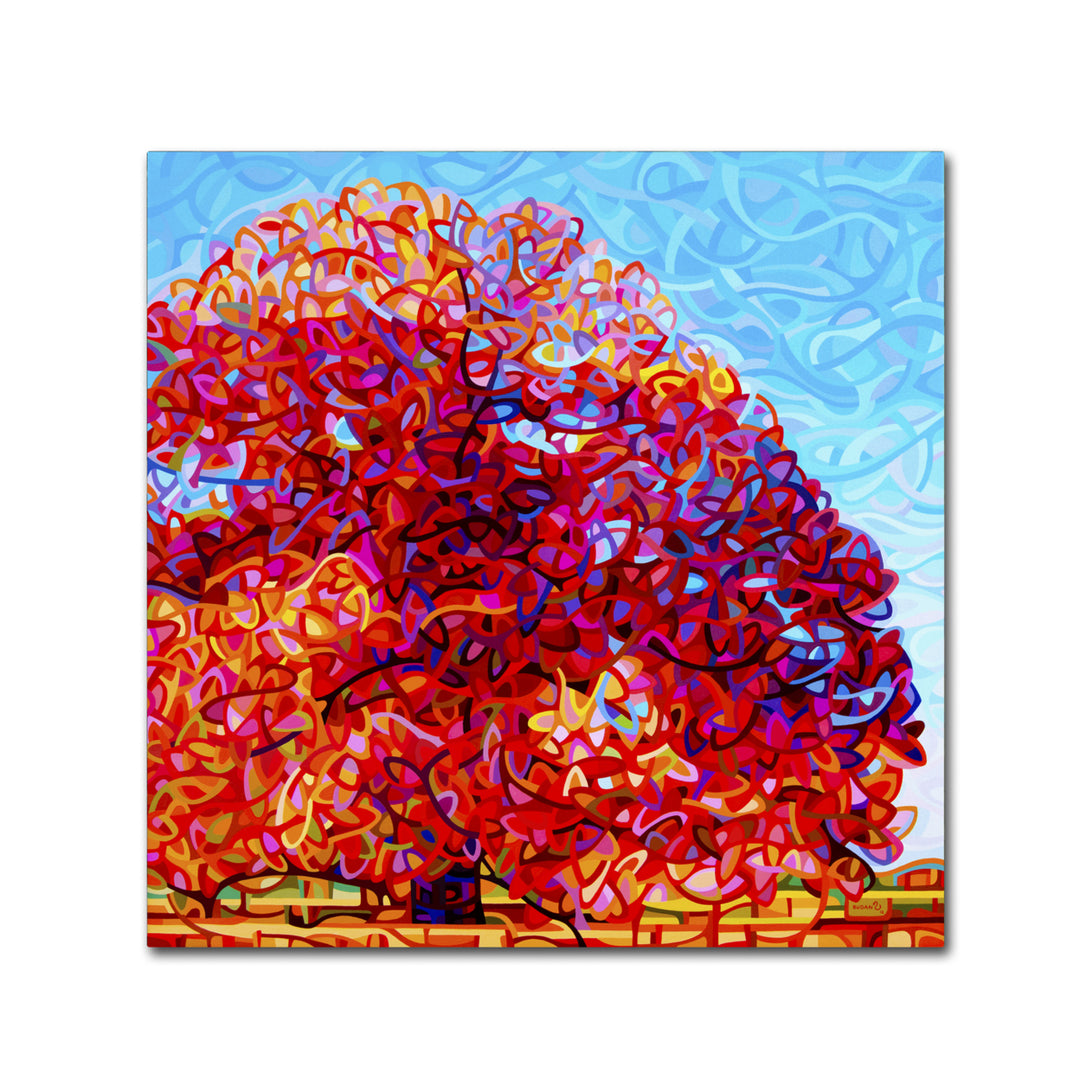 Mandy Budan Buddha Tree Huge Canvas Art 35 x 35 Image 2