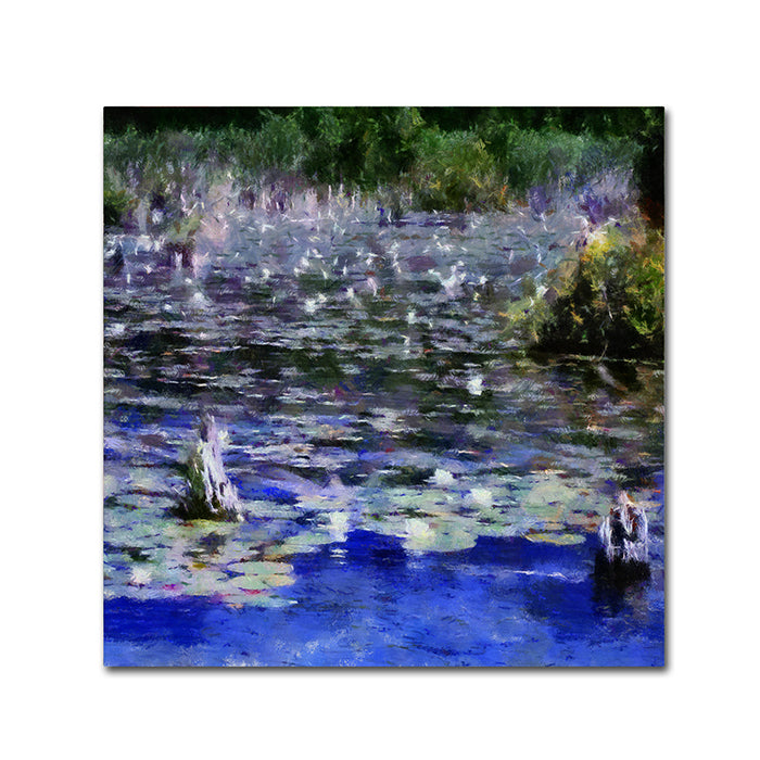 Michelle Calkins Water Lilies in the River Huge Canvas Art 35 x 35 Image 1