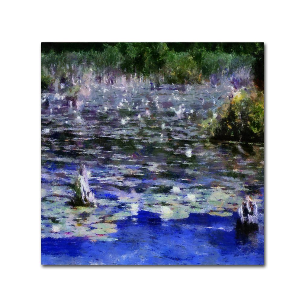 Michelle Calkins Water Lilies in the River Huge Canvas Art 35 x 35 Image 2