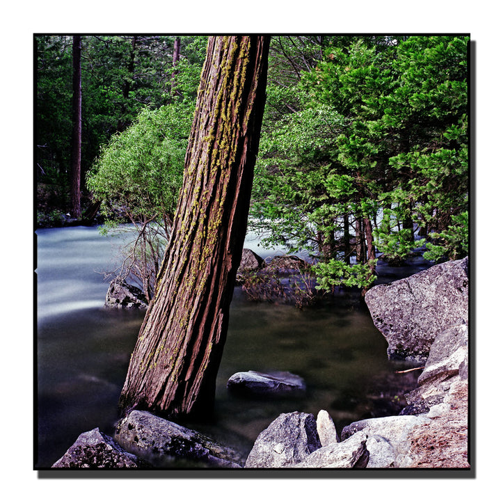 Preston Yosemite I Huge Canvas Art 35 x 35 Image 2