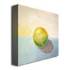 Michelle Calkins Yellow Lemon Still Life Huge Canvas Art 35 x 35 Image 3