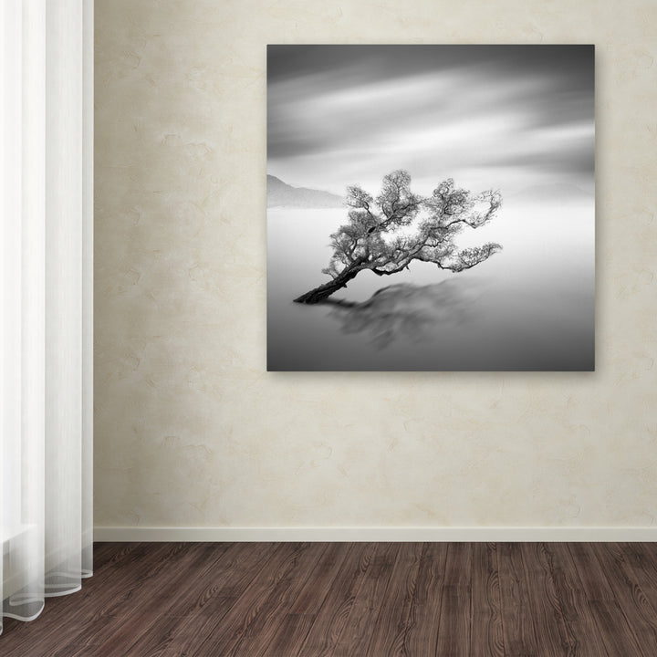 Moises Levy Water Tree VI Huge Canvas Art 35 x 35 Image 4