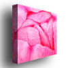 Kurt Shaffer Pink Tulip Abstract Huge Canvas Art 35 x 35 Image 3