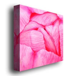 Kurt Shaffer Pink Tulip Abstract Huge Canvas Art 35 x 35 Image 4