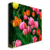 Kurt Shaffer Pink in the Middle Tulips Huge Canvas Art 35 x 35 Image 3