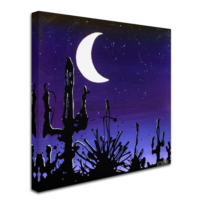 Roderick Stevens Desert Moon Huge Canvas Art 35 x 35 Image 3