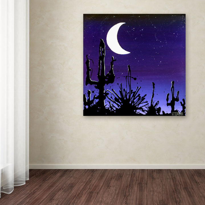 Roderick Stevens Desert Moon Huge Canvas Art 35 x 35 Image 4
