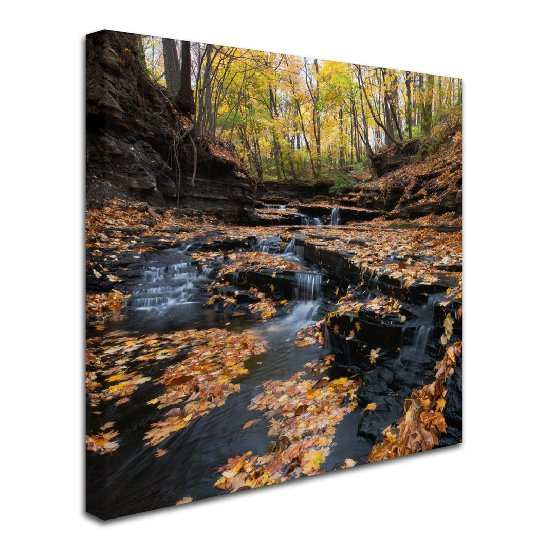 Kurt Shaffer Late Autumn Falls Huge Canvas Art 35 x 35 Image 3