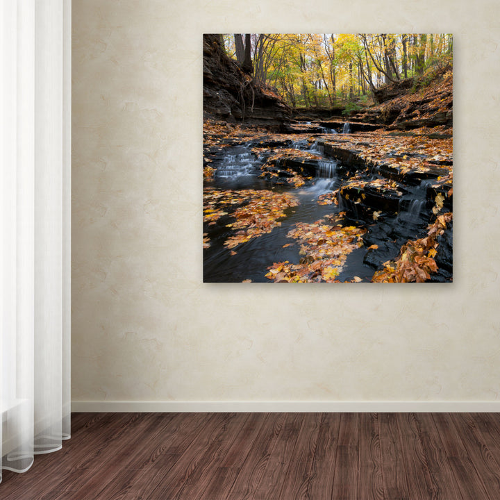 Kurt Shaffer Late Autumn Falls Huge Canvas Art 35 x 35 Image 4