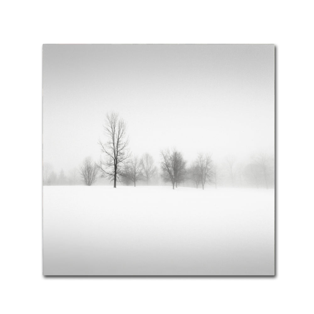 Dave MacVicar Winter Fog Huge Canvas Art 35 x 35 Image 2