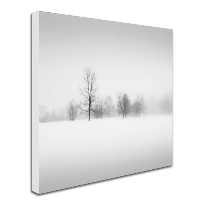 Dave MacVicar Winter Fog Huge Canvas Art 35 x 35 Image 3