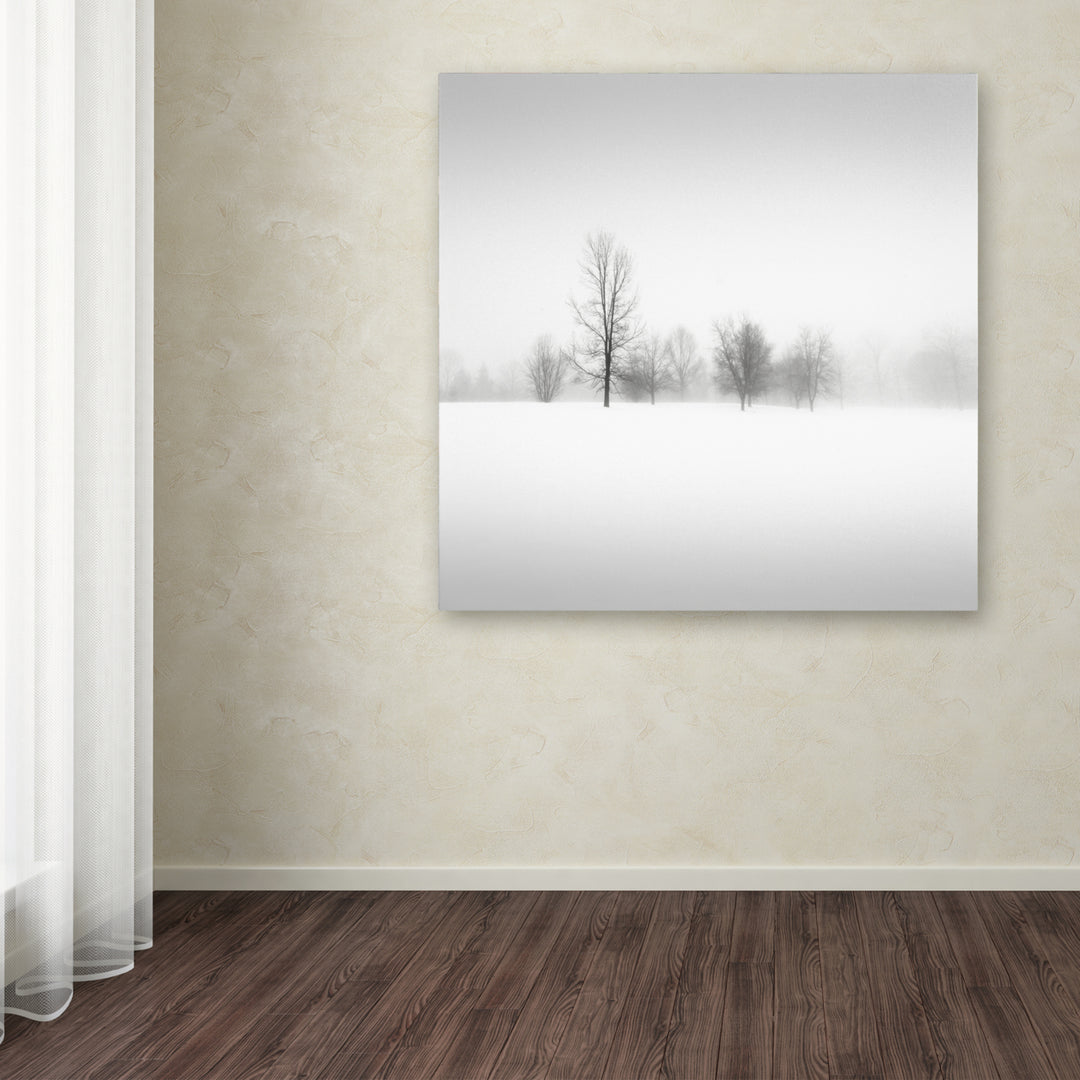 Dave MacVicar Winter Fog Huge Canvas Art 35 x 35 Image 4